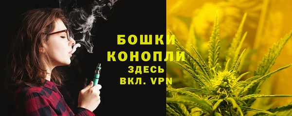 эйфоретик Богородск