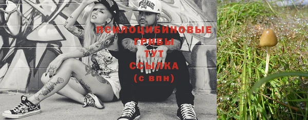 сатива Белоозёрский