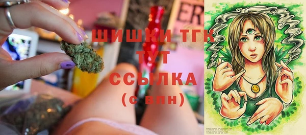 эйфоретик Богородск