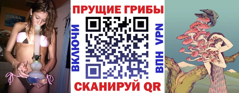 omg ONION  Волчанск  Галлюциногенные грибы мухоморы  купить наркотик 